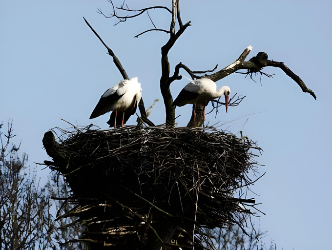 Others 4, Bernstein-Motel Marchegg, Gänserndorf