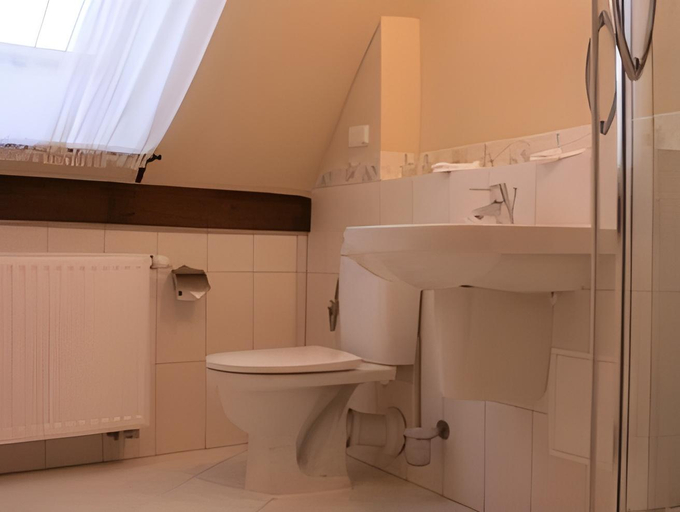 Bathroom 4, Palac Wojanow, Jelenia Góra