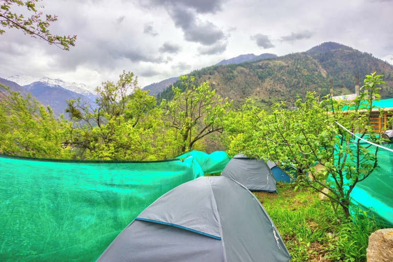 Others 4, Tirthan Height - Facing toward Snow View, Kullu
