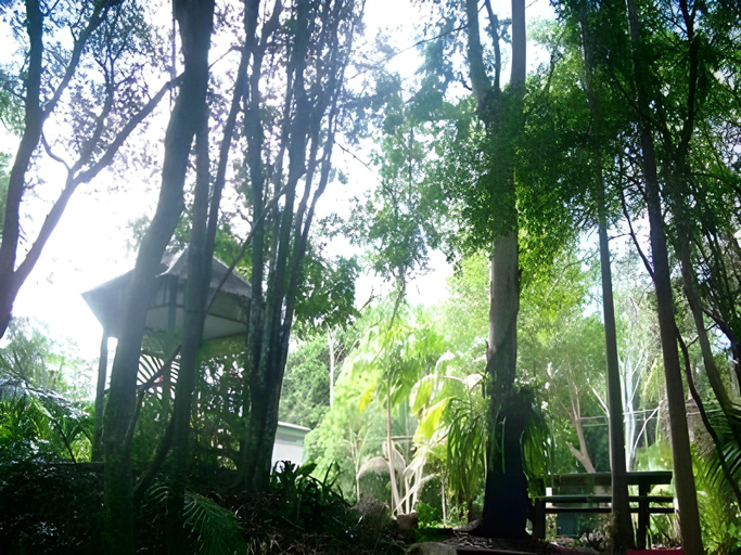 Others 5, Mount Browne Cottage, Coffs Harbour - Pt B