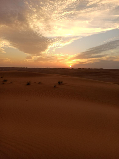 Surrounding environment 5, Endless Dunes Camp, Biddiya