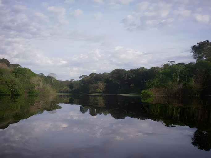 Others 4, Amazon Arowana Lodge, Careiro