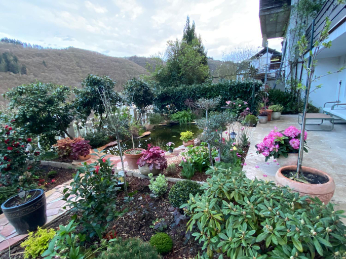 Others 5, Pension mit Moselblick, Cochem-Zell