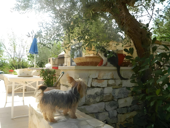 Others 3, Fontana Vecchia B&B, Bari