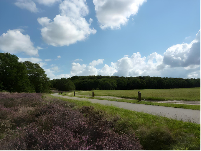 Others 4, Wapen van Exloo, Borger-Odoorn