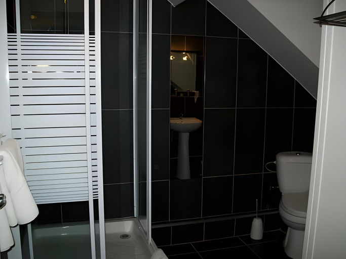 Bathroom 3, Logis Le Saint Hubert, Ardennes