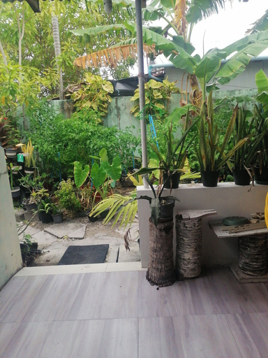 Others 4, The Rose Garden House