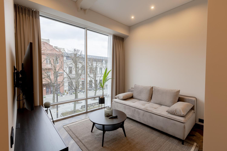 Others 4, LAISVE BOUTIQUE APARTMENTS, Kauno