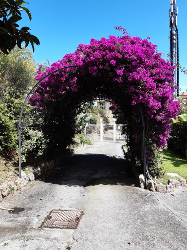 Appartamento Lauretta, Savona