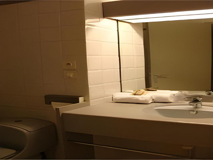 Bathroom 5, Le Pré Galoffre, Gard