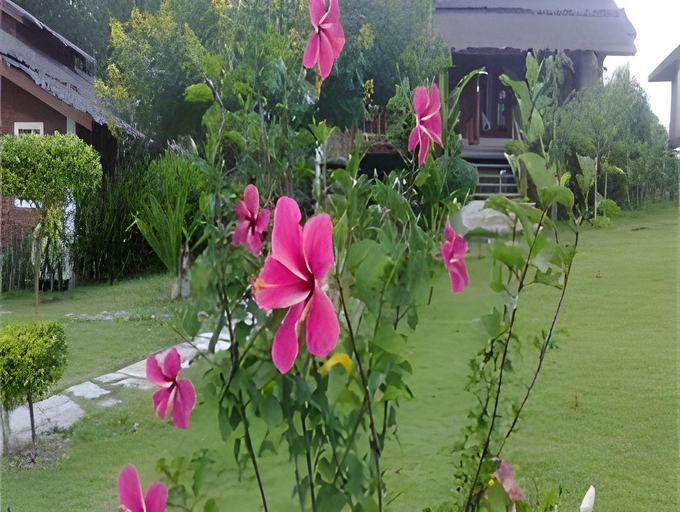 Others 5, Pailove & Baanchonphao Resort, Pai