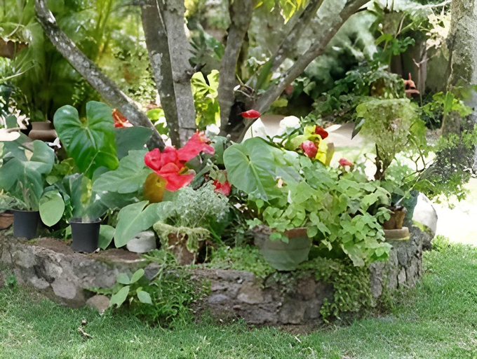 Others 4, Silva Rest Bed and Breakfast, Habaraduwa