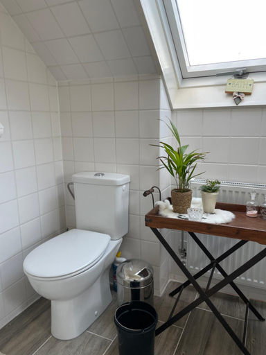 Bathroom 2, The Rose, Littenseradiel