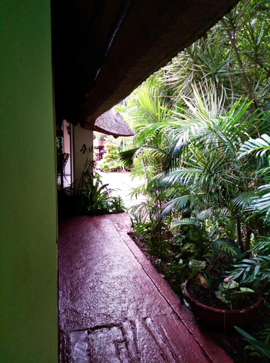 Scenery