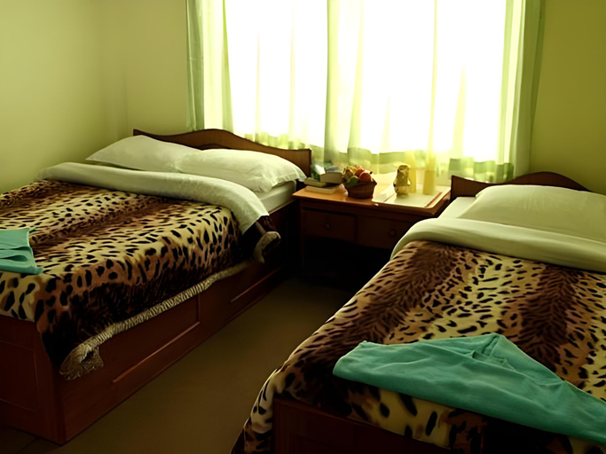 Others 4, Hotel Snow Leopard, Gandaki