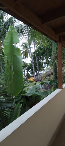 Others 3, guest house MY WAY, Las Terrenas