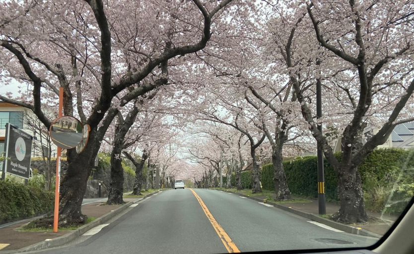 Scenery 15