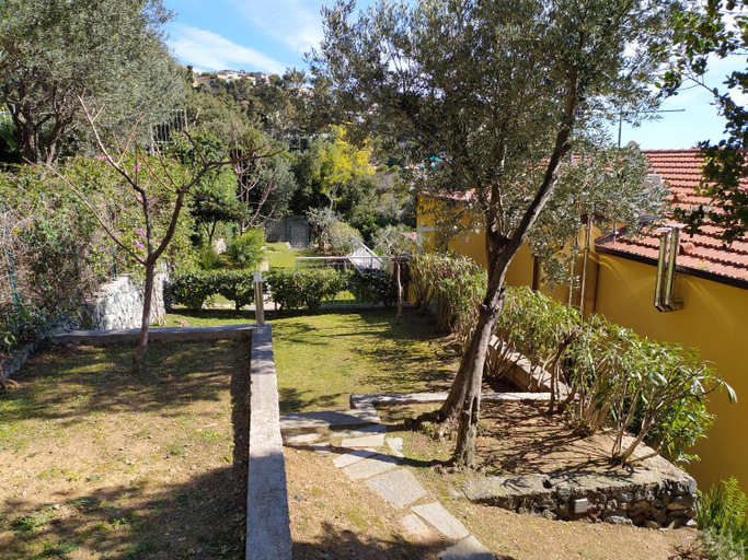 Scenery 24
