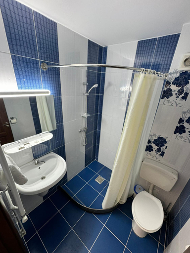 Bathroom 3, Pensiunea Lebada, Somova