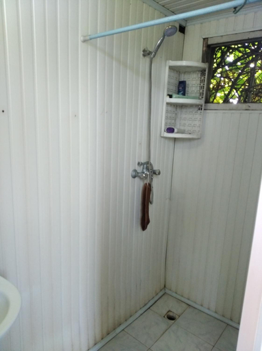 Others 4, Roin Guest House, Lanchkhuti