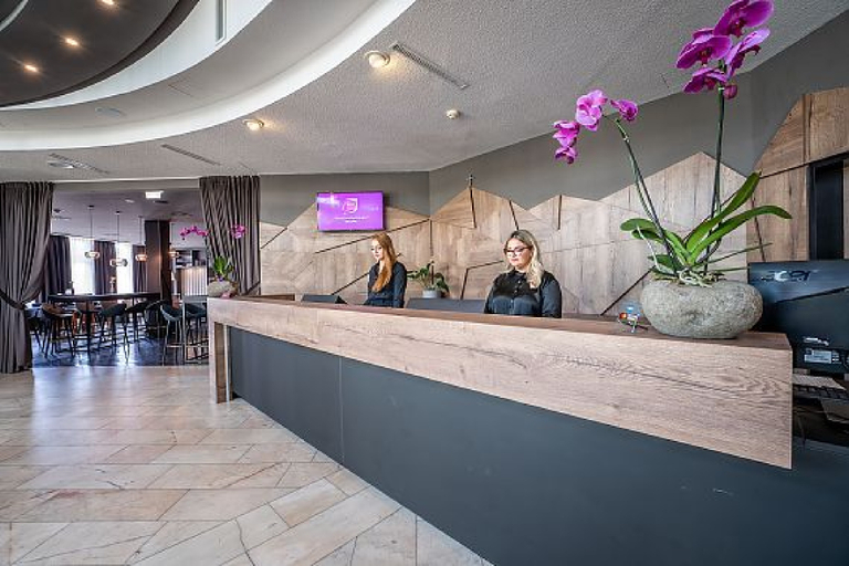 Public Area 5, Plaza Inn Salzburg Messe, Salzburg