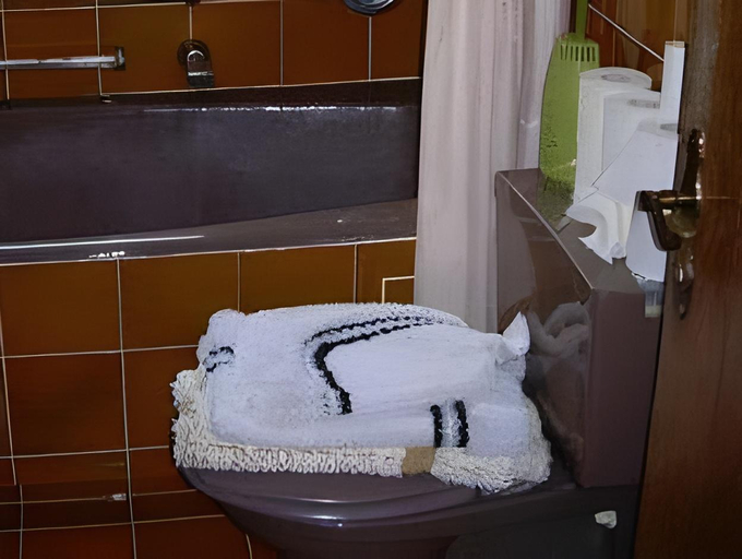 Bathroom 5, Alpenhotel Fernau, Innsbruck Land