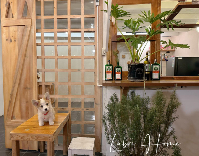 Others 3, Labri Home Da Lat, Đà Lạt