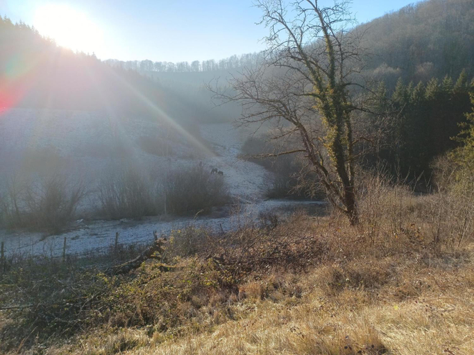 Others 4, Domaine de Rosiere, Doubs