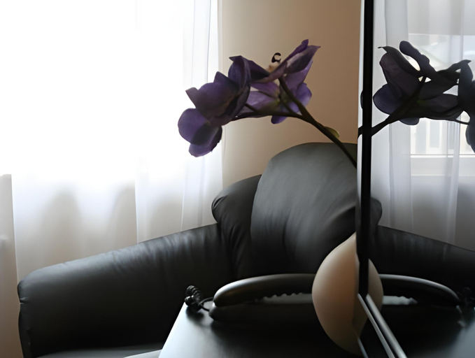 Others 5, Superior Hotel Vantis Riverside, Riga