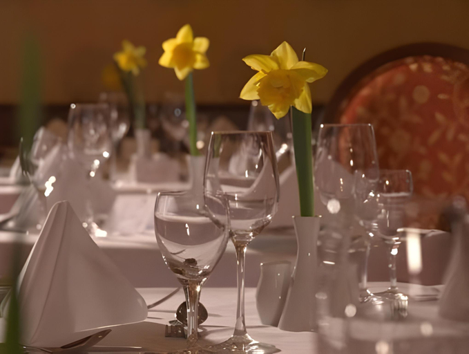 Food & Drinks 4, Hotel St. Wolfgang, Passau