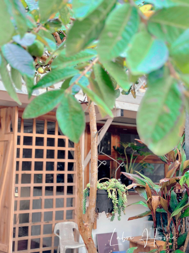 Others 4, Labri Home Da Lat, Đà Lạt