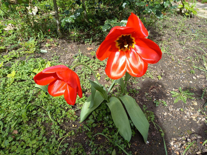 La Teranga de Kadi & Cathy, avec jardin privatif, Meurthe-et-Moselle