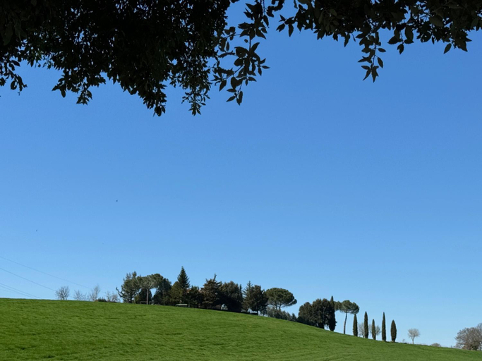 Others 5, Orvieto Country House, Viterbo