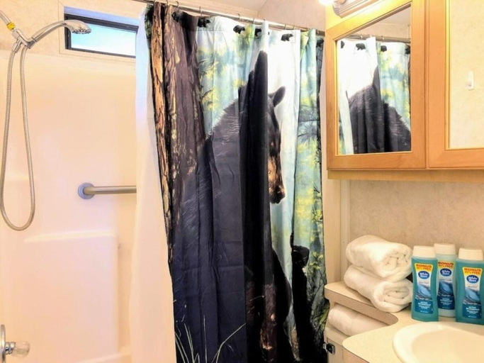Bathroom 3, Mountain View #615, Swain