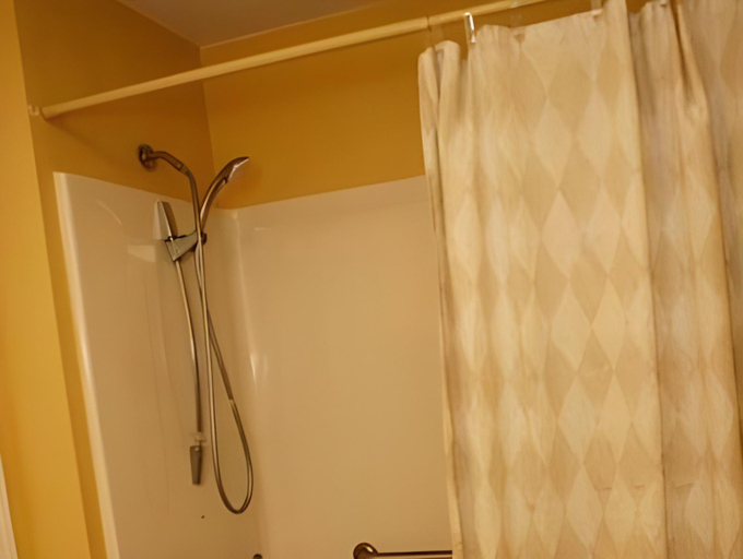 Bathroom 4, Luxbury Inn & Suites, Blount
