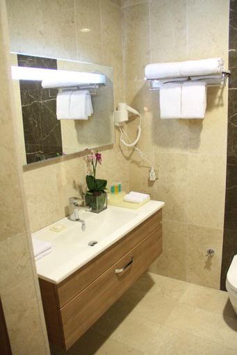 Others 5, Fiori Hotel, Arbil