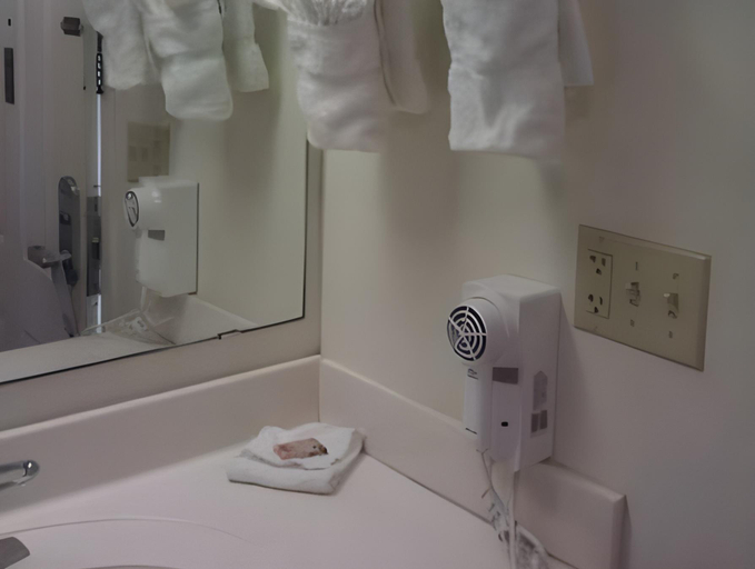 Bathroom 3, Anastasia Inn - Saint Augustine, Saint Johns