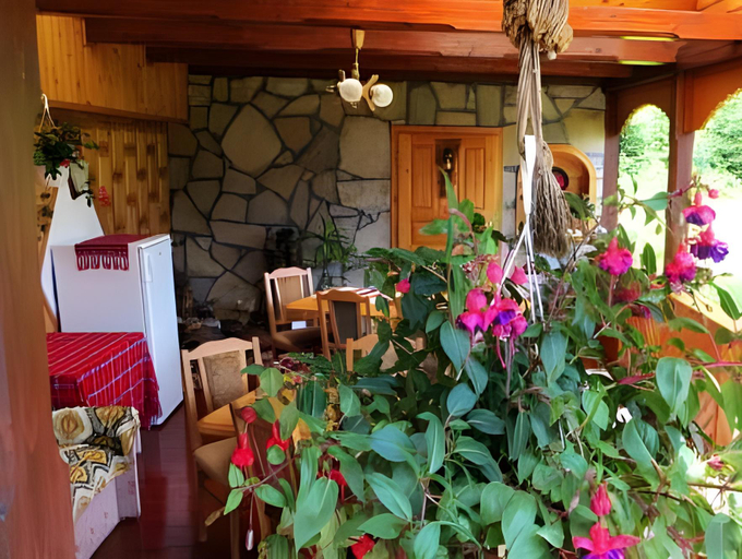 Food & Drinks 2, Pensiunea Poiana de Vis, Sucevita