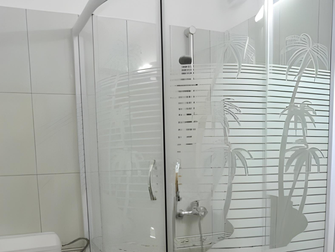 Bathroom 2, Pensiunea Moldova, Viisoara
