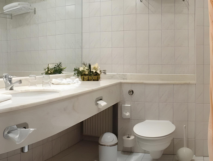 Bathroom 5, Panorama Berghotel Wettiner Hoehe, Erzgebirgskreis