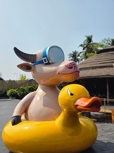 Sport & Beauty, The Buffalo Amphawa, Muang Samut Songkhram