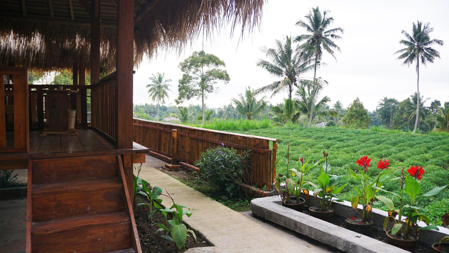 Scenery 1