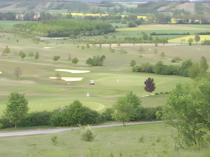 Others 5, Goldene Traube, Neustadt an der Aisch-Bad Windsheim