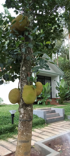 Others 5, Le Vista Resort - Wayanad, Wayanad
