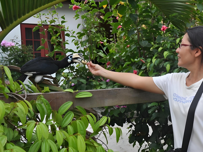Others 3, Pangkor Guesthouse SPK, Manjung