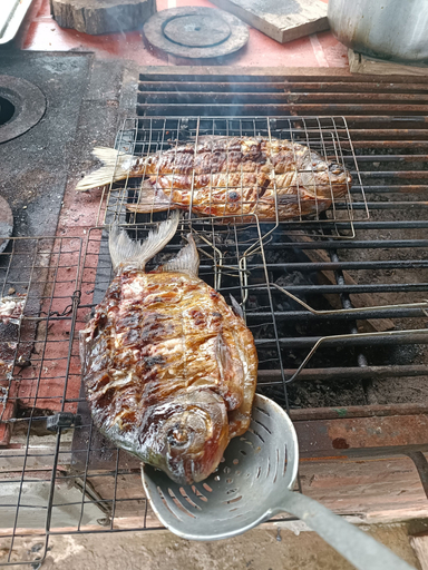 Food & Drinks 5, El Encanto del Guejar, Lejanías