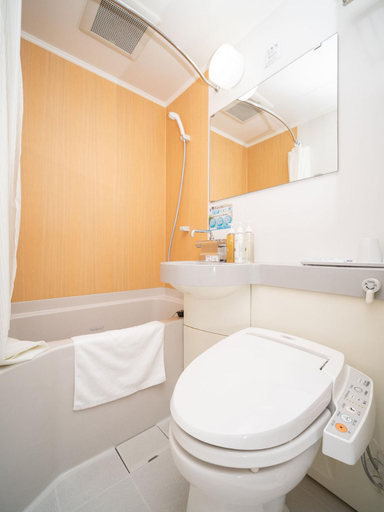 Bathroom 4, Super Hotel Matsumoto Tennen Onsen, Matsumoto