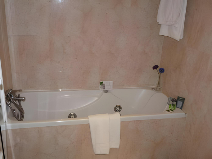 Bathroom 4, Hotel Jardín de Aranjuez, Madrid