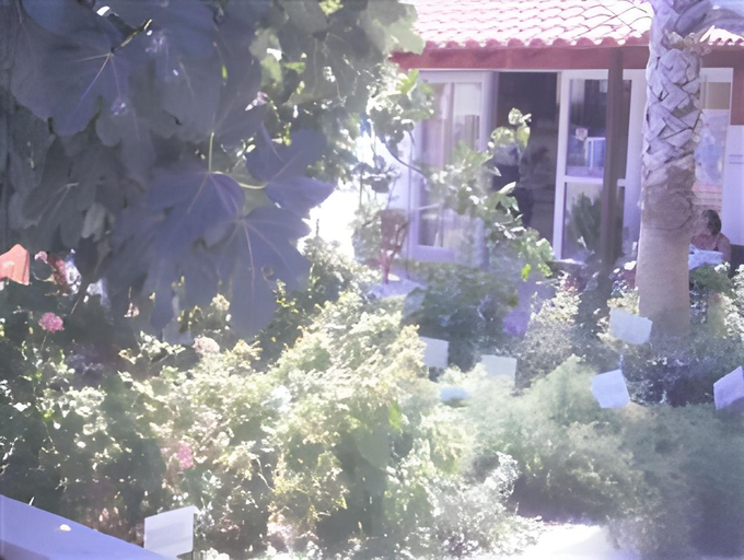 Others 5, Aspro Spiti Hotel, South Aegean