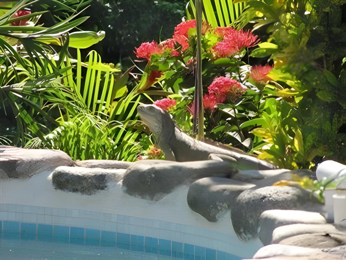 Sport & Beauty 5, Casa Virgilios B&B, Compostela